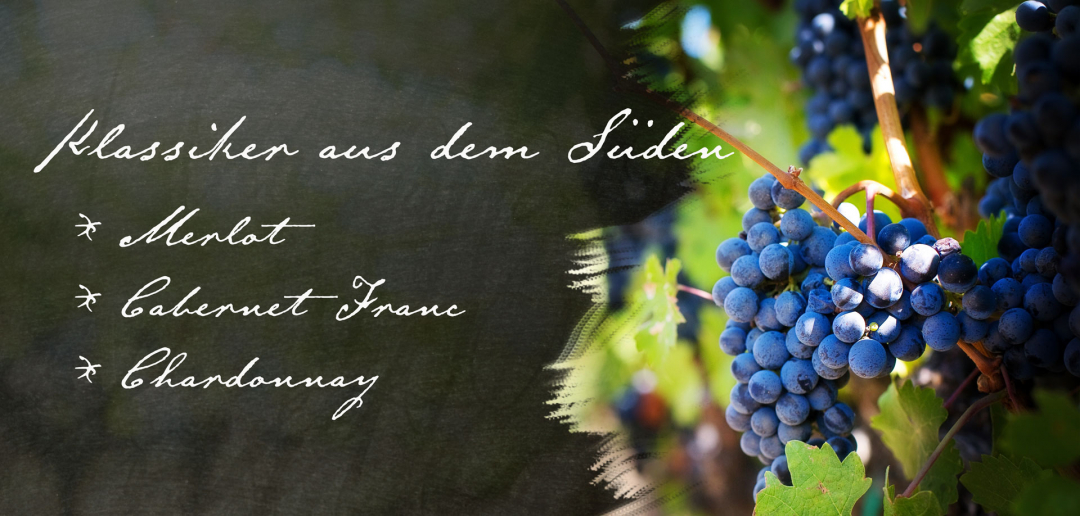 Rebsorten im Weingut Kistenmacher & Hengerer
