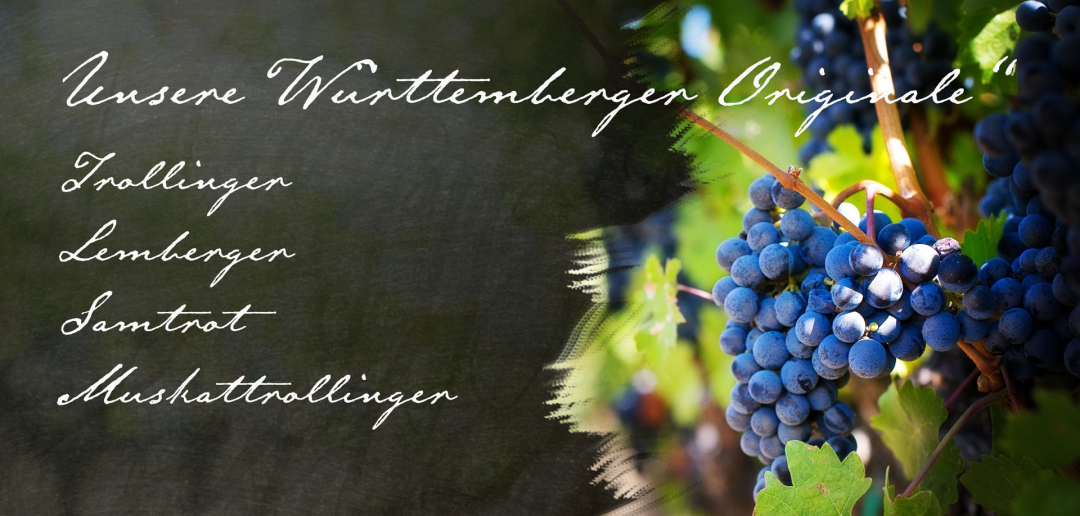 Rebsorten im Weingut Kistenmacher & Hengerer