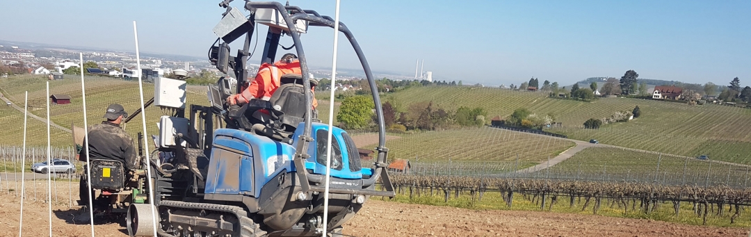 Das Jahr im Weingut Kistenmacher &amp; Hengerer